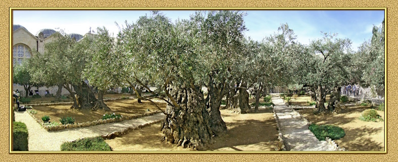 Gesemani